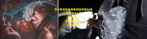 ешки Нея