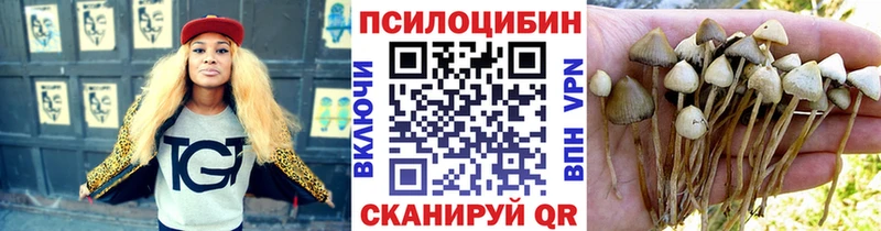 Псилоцибиновые грибы GOLDEN TEACHER  мега маркетплейс  Новочебоксарск  купить  