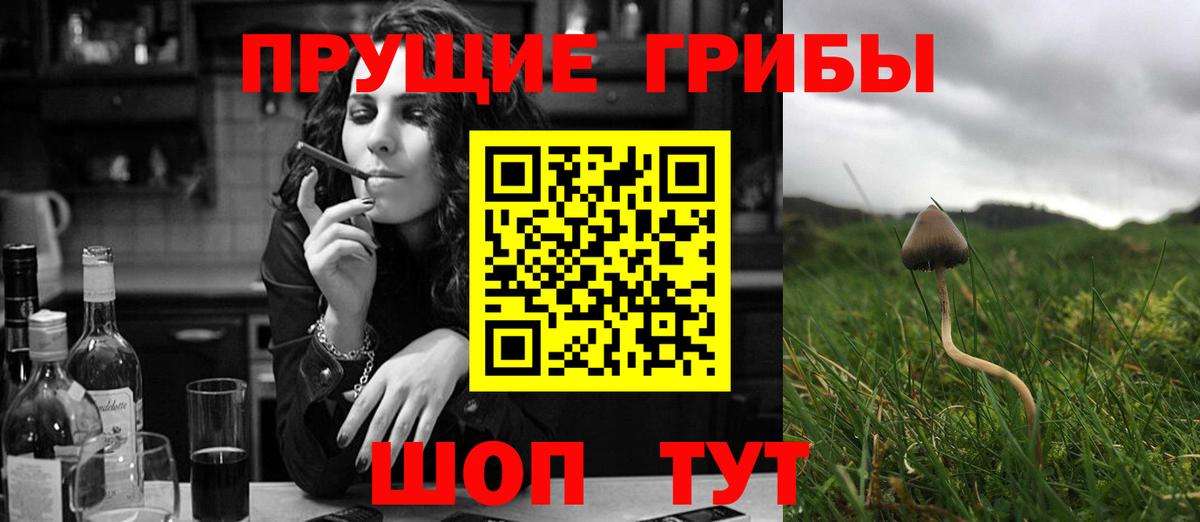 Галлюциногенные грибы ЛСД Новочебоксарск