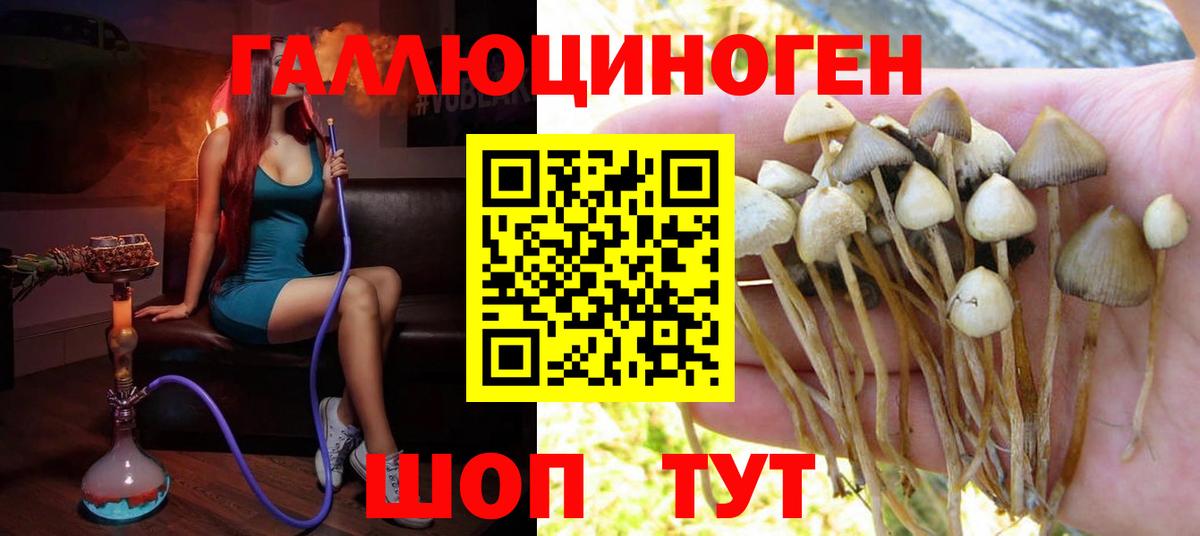 Псилоцибиновые грибы Magic Shrooms  Галлюциногенные грибы прущие грибы  Вход с VPN  Новочебоксарск 