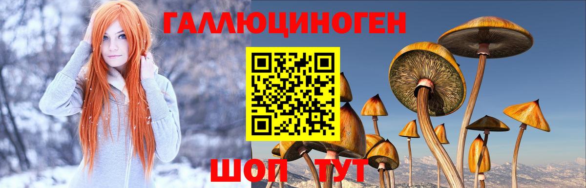 Псилоцибиновые грибы MAGIC MUSHROOMS  Новочебоксарск 